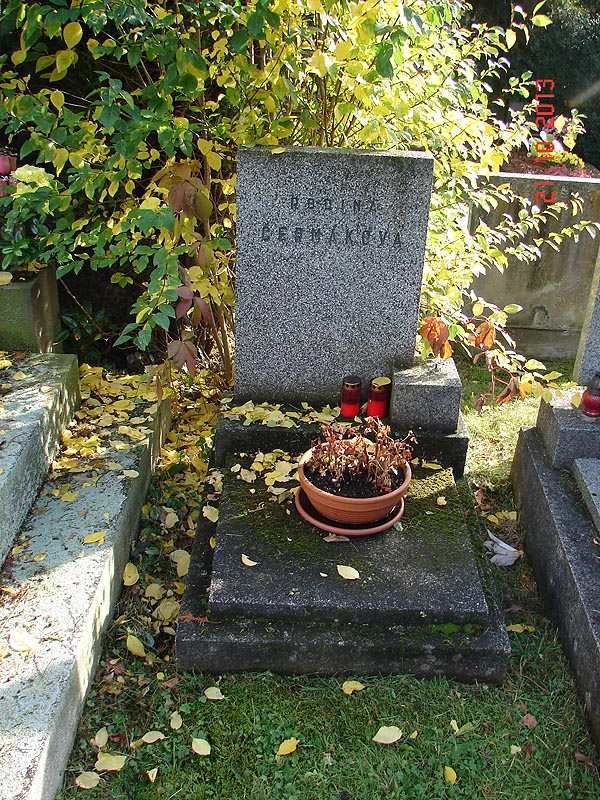 České hřbitovy