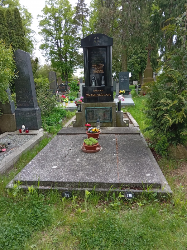 České hřbitovy