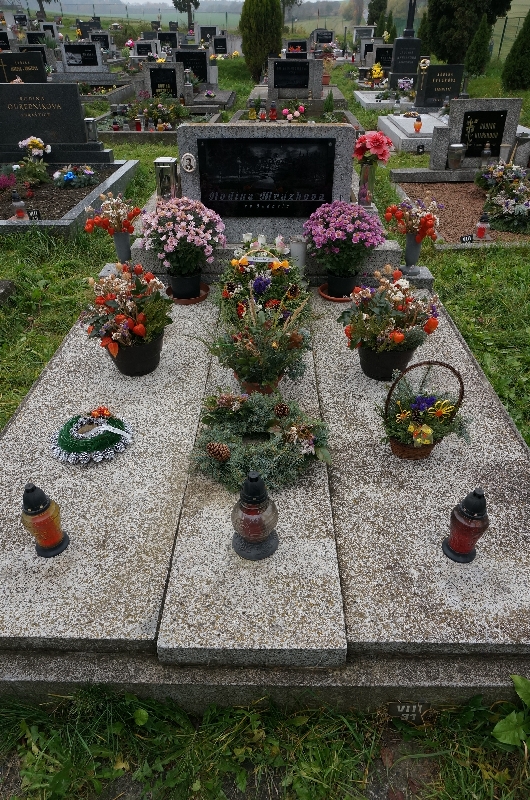 České hřbitovy