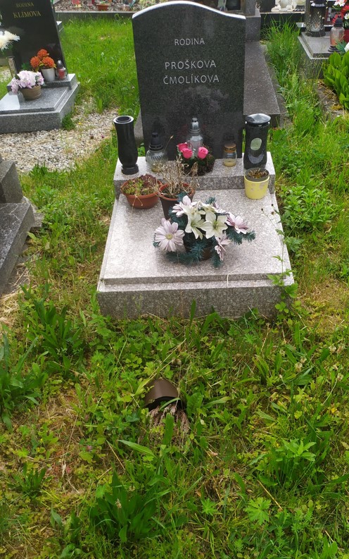 České hřbitovy