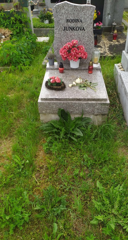 České hřbitovy