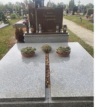 České hřbitovy