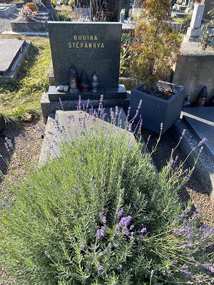 České hřbitovy