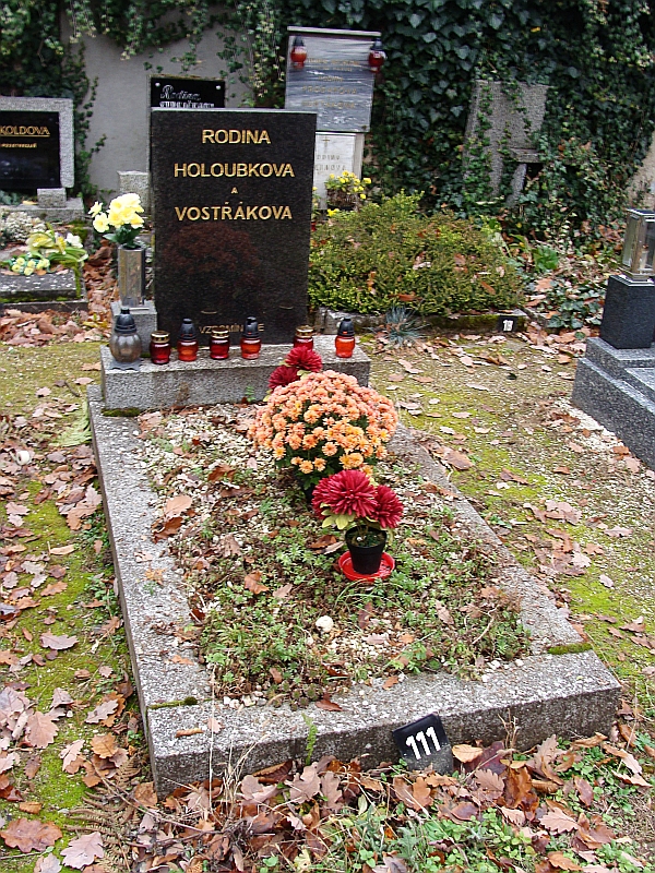 České hřbitovy