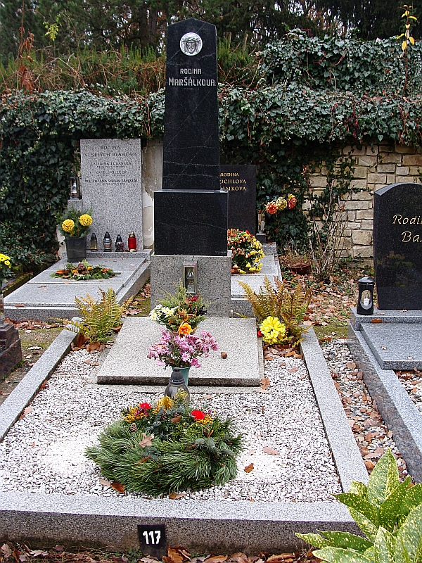 České hřbitovy
