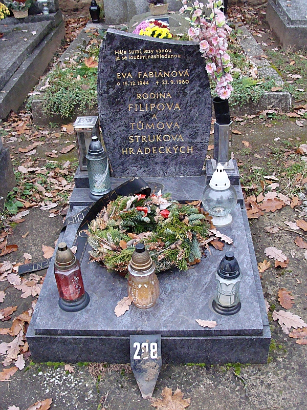 České hřbitovy