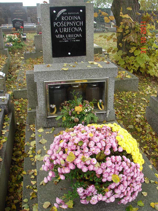 České hřbitovy