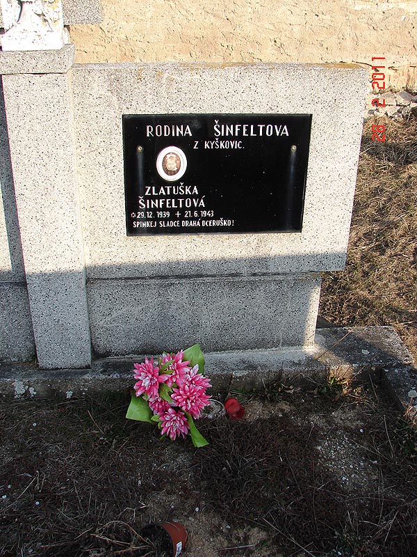 České hřbitovy